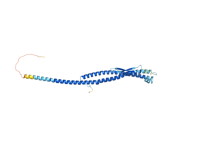 AlphaFold predicted structure of VMA8