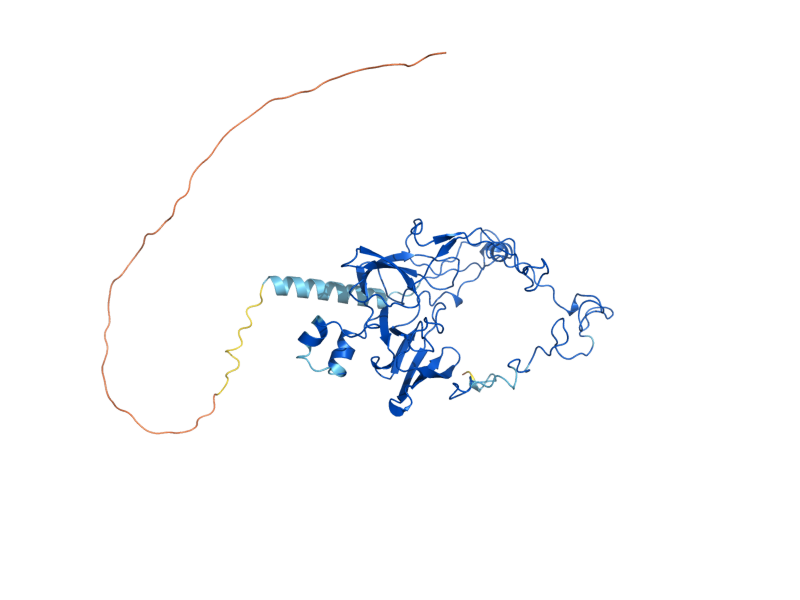 AlphaFold predicted structure of RML2