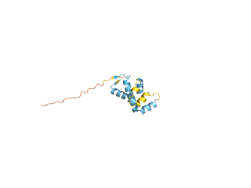 AlphaFold predicted structure of PAU2