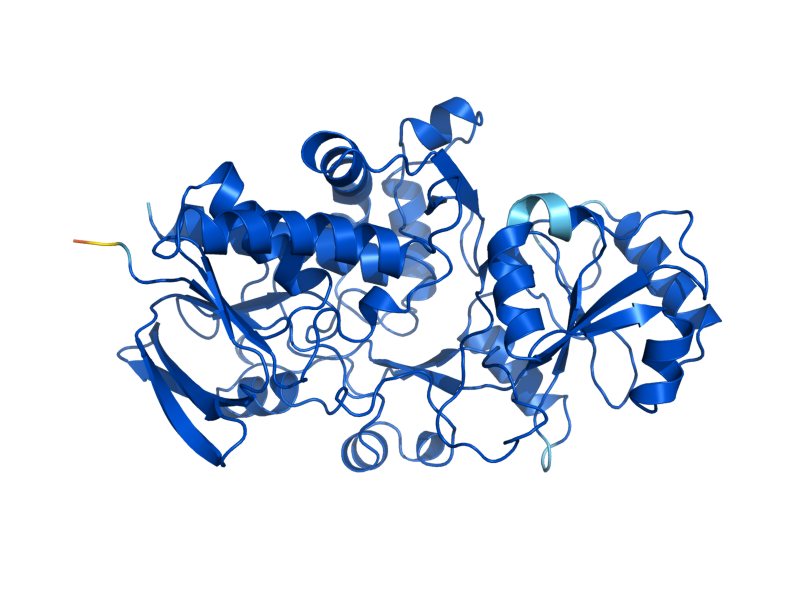 AlphaFold predicted structure of FRD1