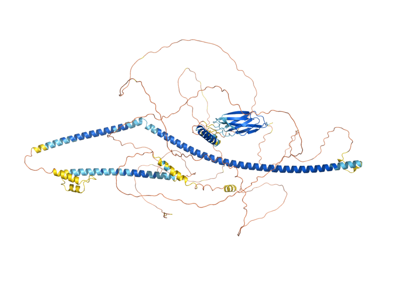 AlphaFold predicted structure of GTA1