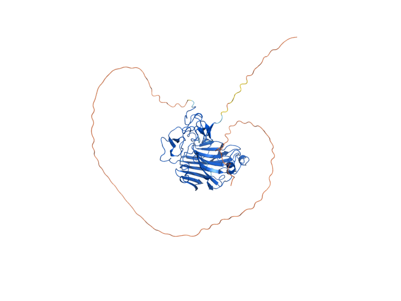 AlphaFold predicted structure of UTR2