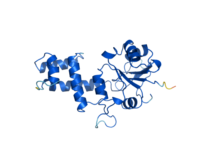 AlphaFold predicted structure of UTR4