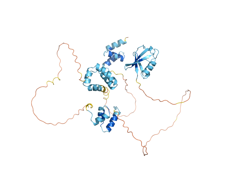 AlphaFold predicted structure of RAD23