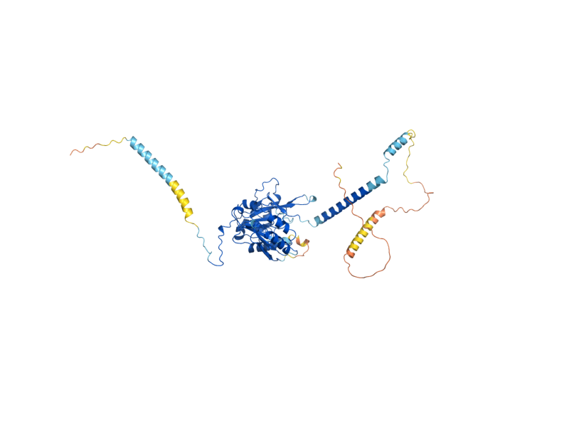 AlphaFold predicted structure of ANP1