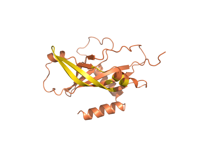 AlphaFold predicted structure of UTR5