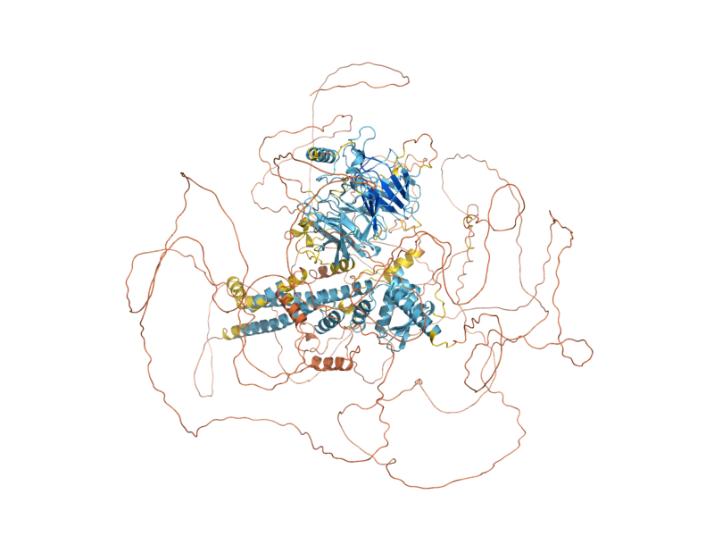 AlphaFold predicted structure of PMD1