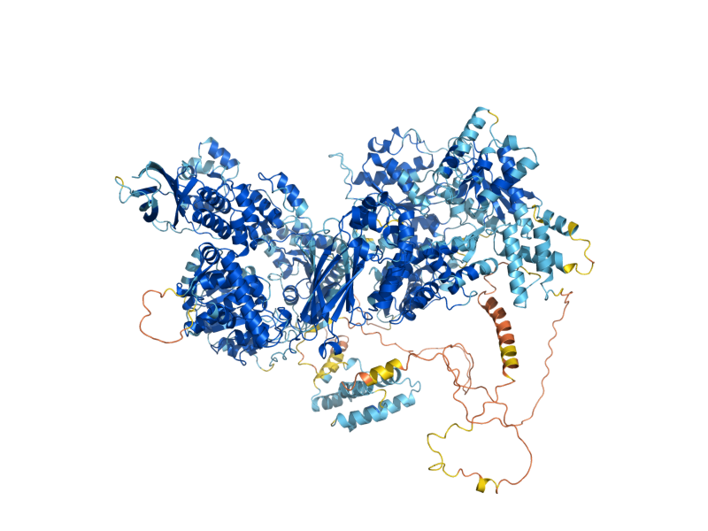 AlphaFold predicted structure of BRR2