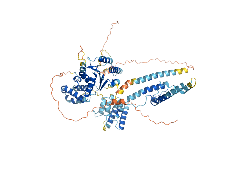 AlphaFold predicted structure of RAD24