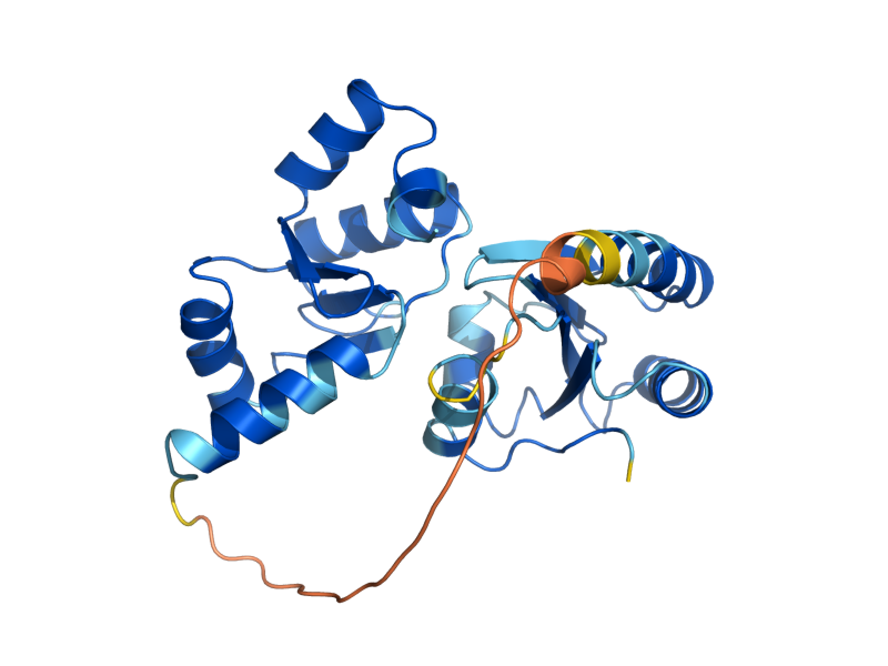 AlphaFold predicted structure of GRX4