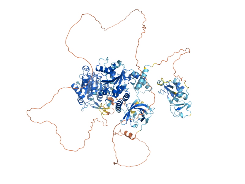 AlphaFold predicted structure of ECM32