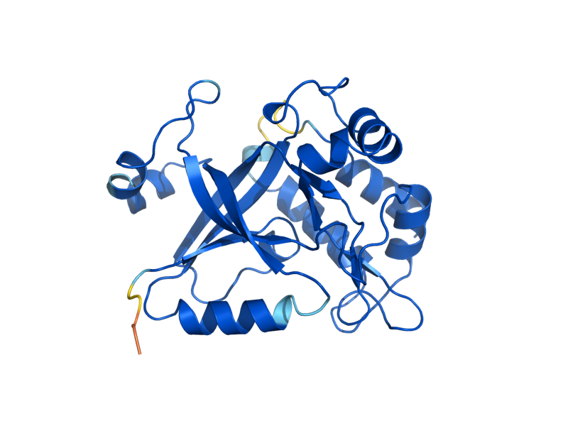 AlphaFold predicted structure of GCG1