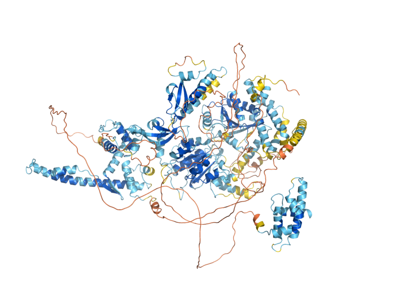 AlphaFold predicted structure of CHD1