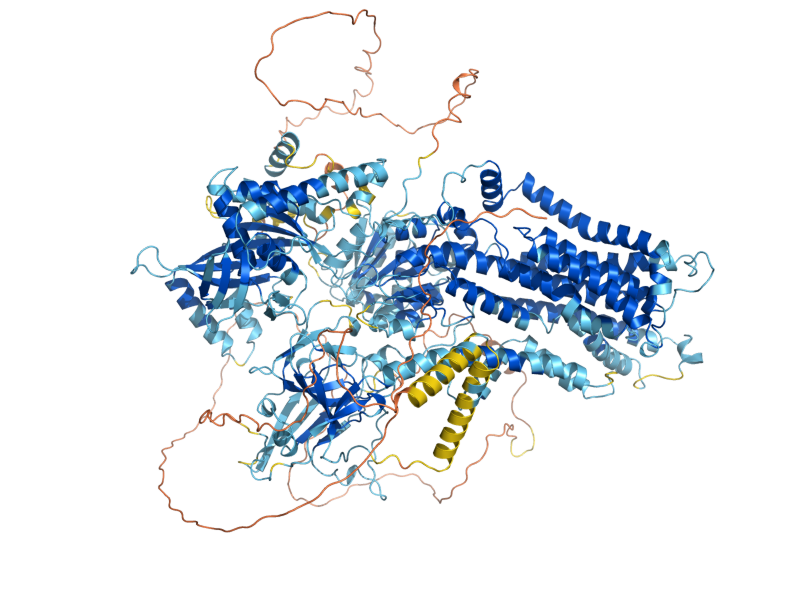 AlphaFold predicted structure of DNF1