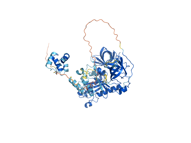 AlphaFold predicted structure of HBS1