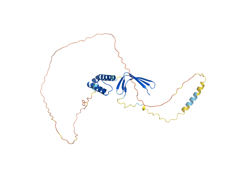 AlphaFold predicted structure of TOA1