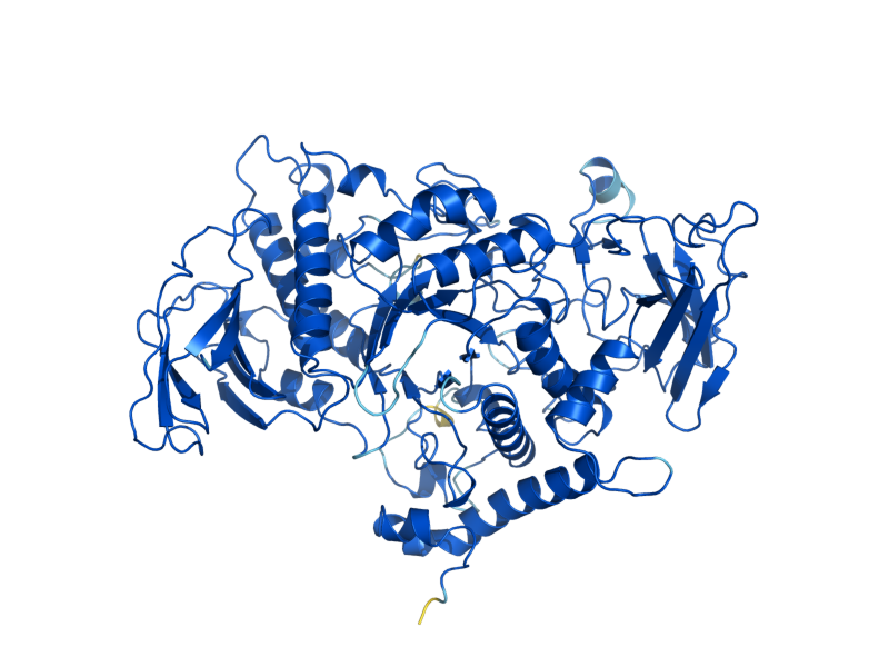 AlphaFold predicted structure of GLC3