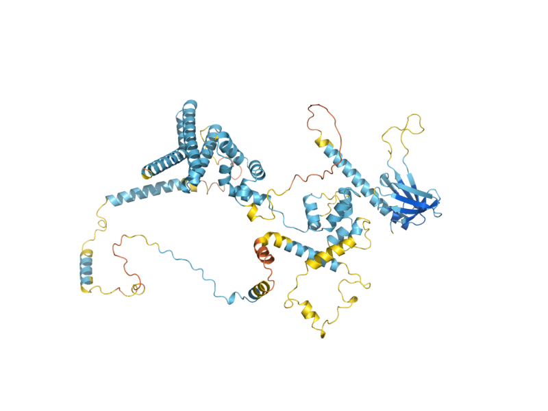 AlphaFold predicted structure of TFB1