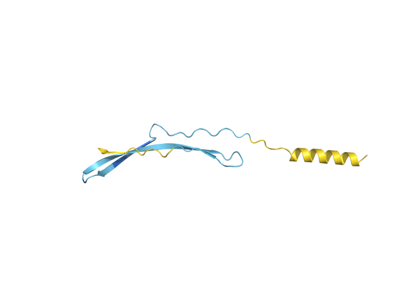AlphaFold predicted structure of AGA2