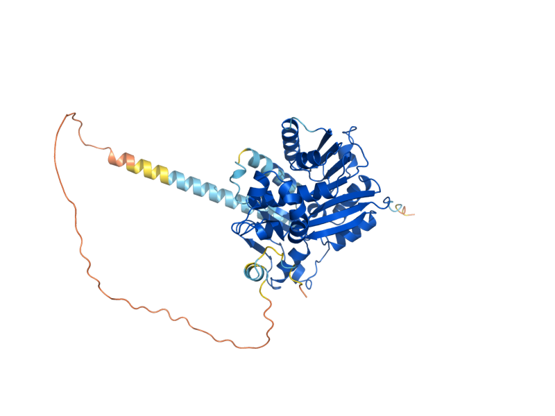 AlphaFold predicted structure of ABD1