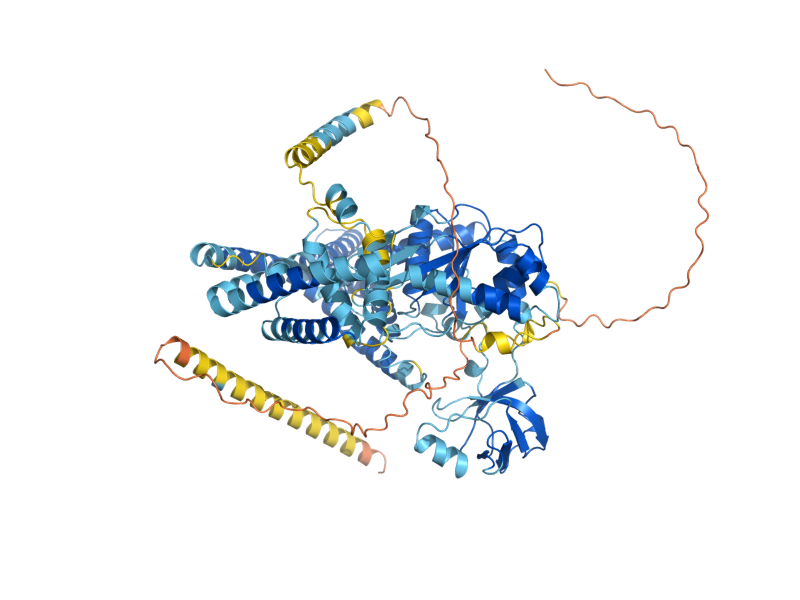 AlphaFold predicted structure of SCT1