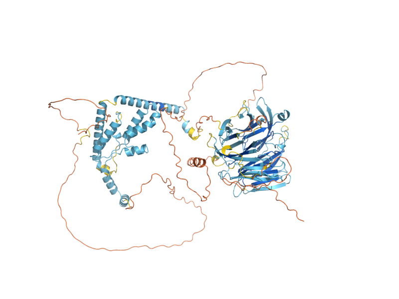 AlphaFold predicted structure of RRN6