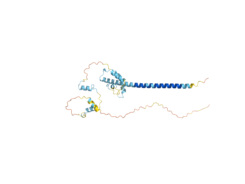 AlphaFold predicted structure of LAA2