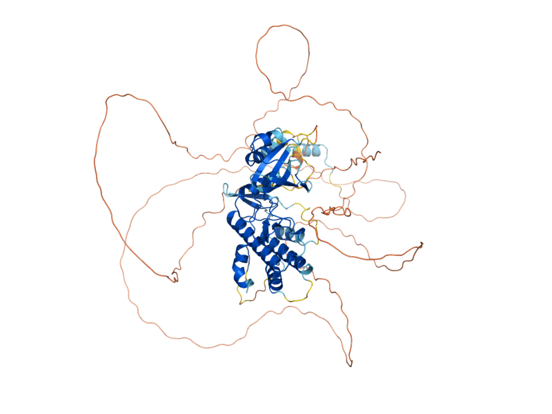 AlphaFold predicted structure of ALK2