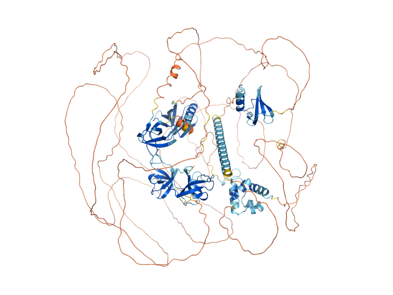 AlphaFold predicted structure of SLA1