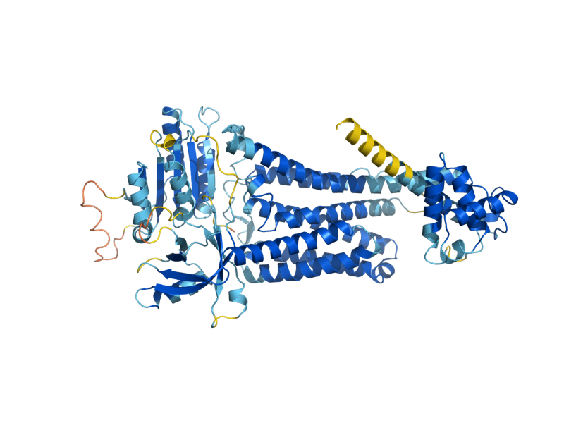 AlphaFold predicted structure of FRE1