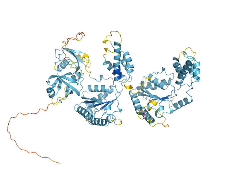 AlphaFold predicted structure of AFG2