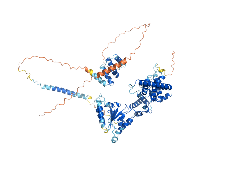 AlphaFold predicted structure of YME1