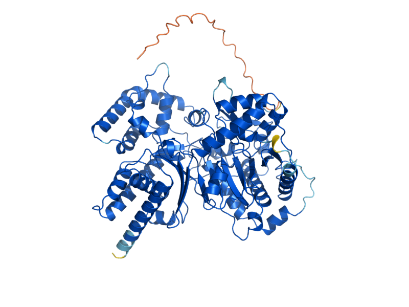 AlphaFold predicted structure of CAT2
