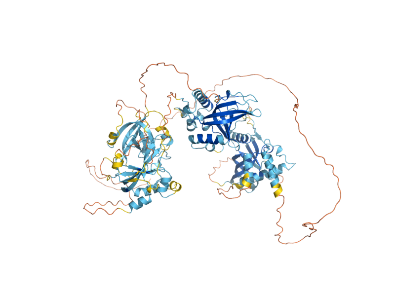 AlphaFold predicted structure of CDC13
