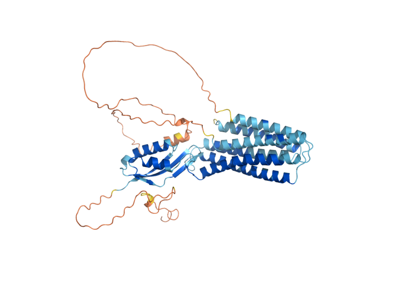 AlphaFold predicted structure of COT1