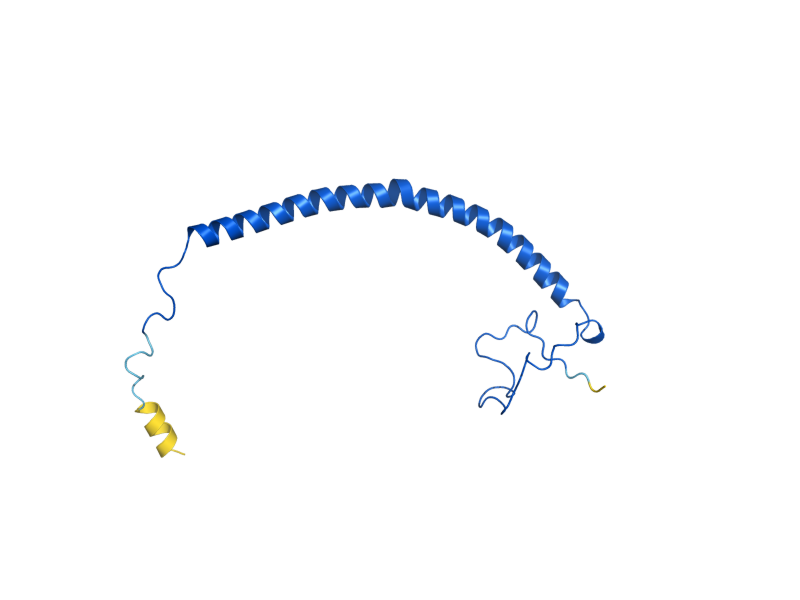 AlphaFold predicted structure of COX13