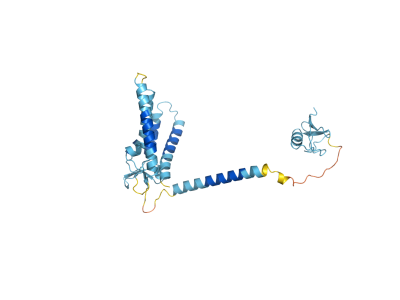 AlphaFold predicted structure of PEX2