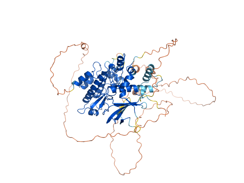 AlphaFold predicted structure of ELM1