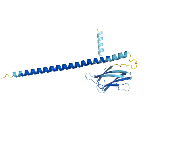 AlphaFold predicted structure of EMP24