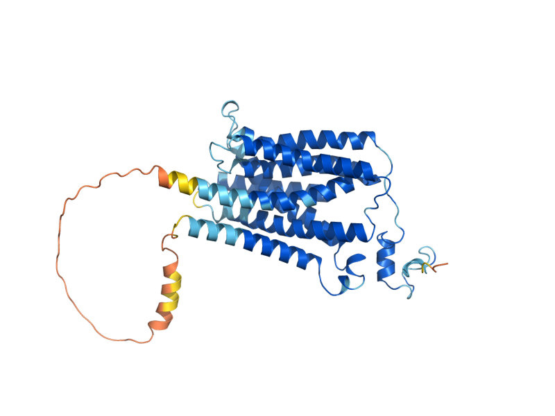AlphaFold predicted structure of ZRT1