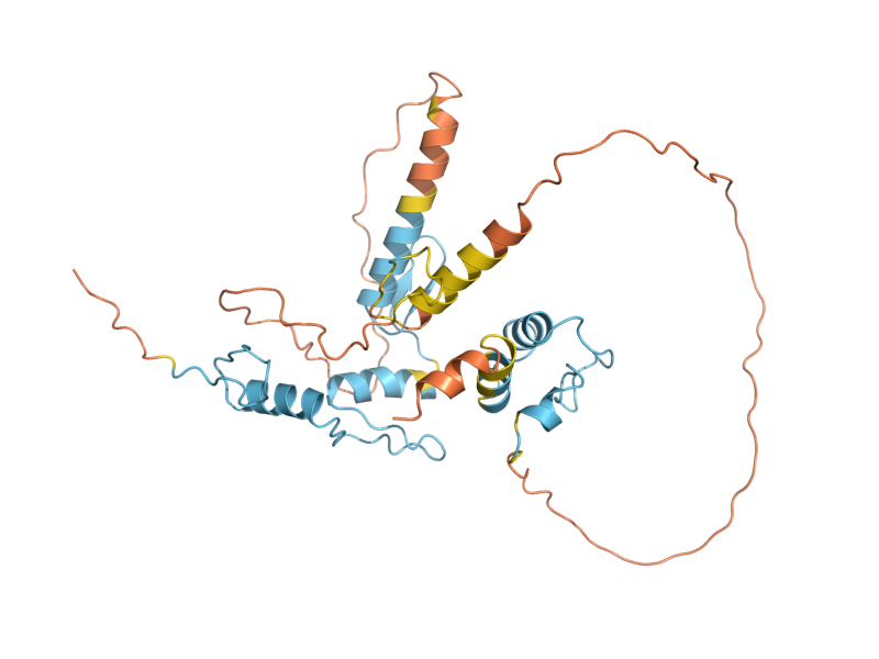 AlphaFold predicted structure of FZF1