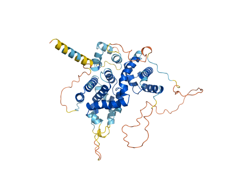 AlphaFold predicted structure of GYP6