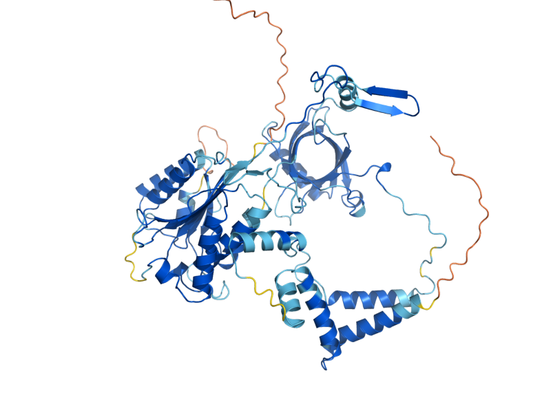 AlphaFold predicted structure of YKU70