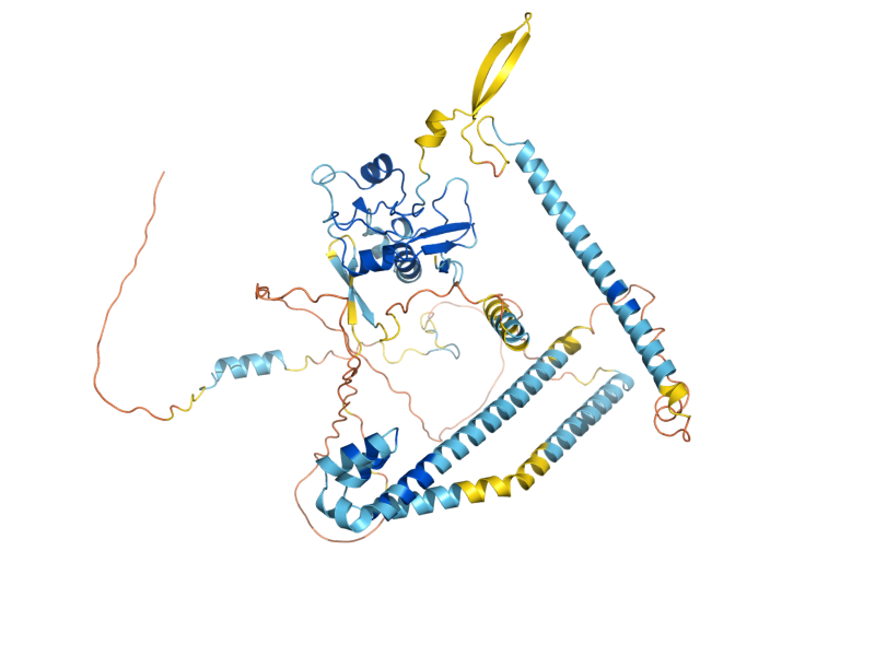 AlphaFold predicted structure of SLX5