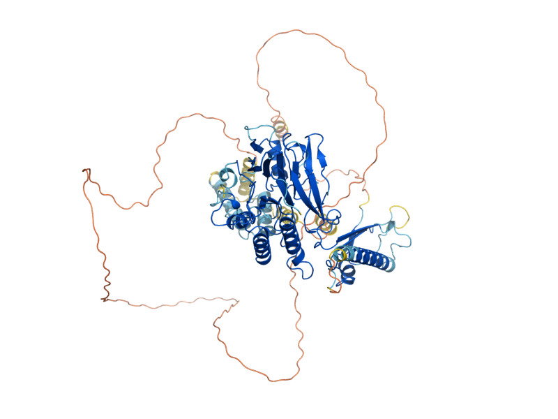 AlphaFold predicted structure of MRE11