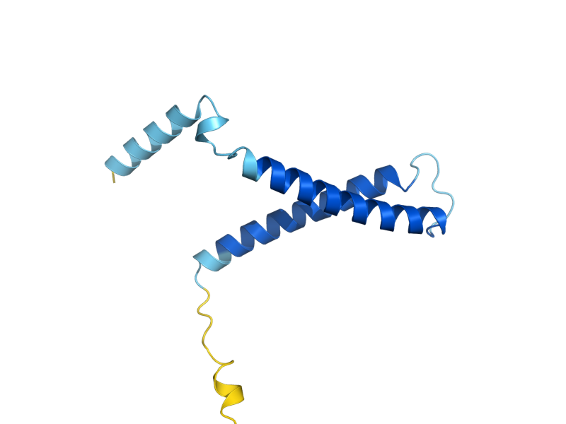 AlphaFold predicted structure of TIM12