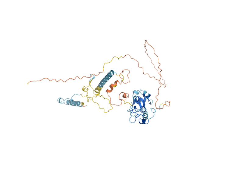 AlphaFold predicted structure of NPL6