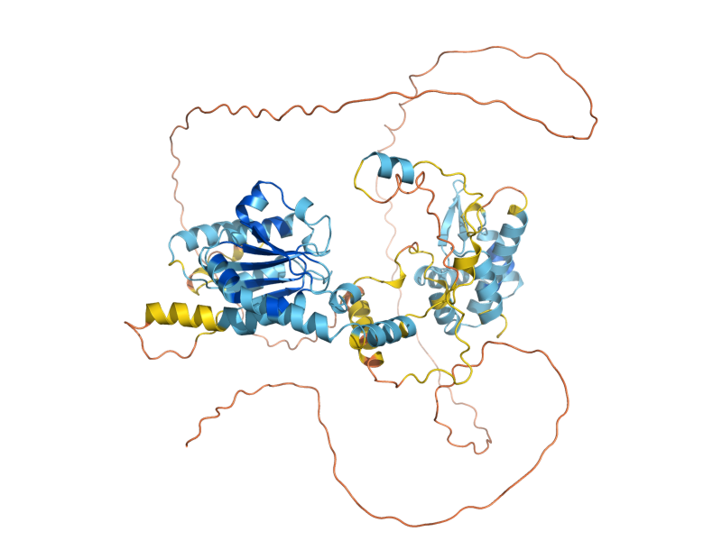 AlphaFold predicted structure of ORC2