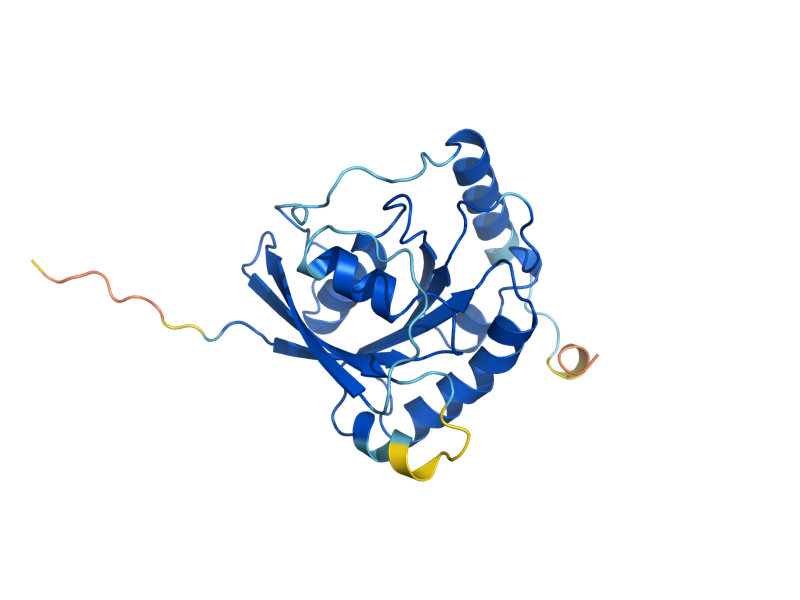 AlphaFold predicted structure of GSP2