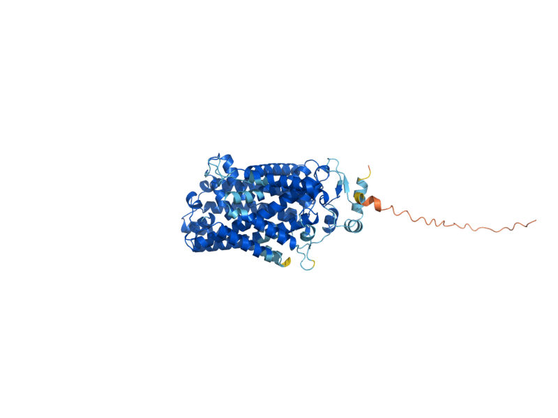 AlphaFold predicted structure of UGA4